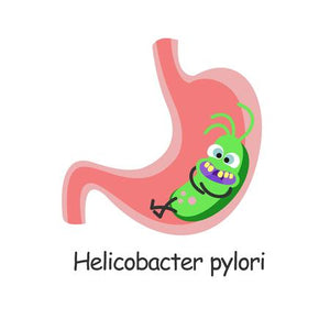 Tratament naturist pentru Helicobacter Pylori